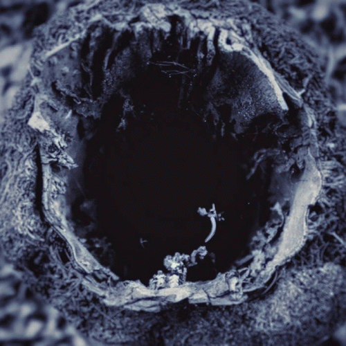 A Lonesome Journey Deeper into the Howling Abyss